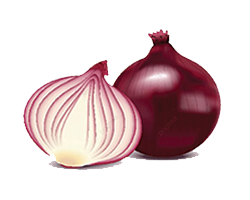 ONION 1KG