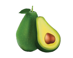 AVOCADO - 1PC