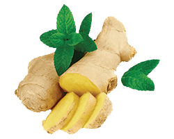 GINGER 1KG