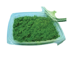 CASSAVA LEAVES