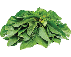 Spinach Vegetable