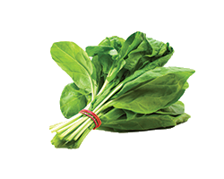 Spinach