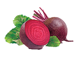 BEATROOT 1KG