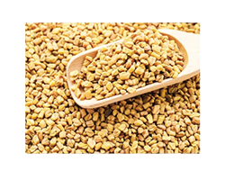 FENUGREEK 1KG