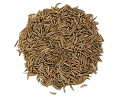 CUMIN SEEDS 1KG