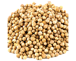 CORIANDER SEEDS 1KG