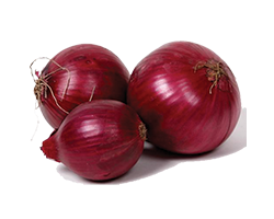 ONION