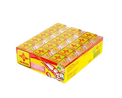 SOUP MAGGI