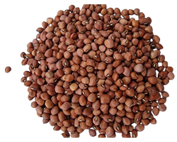 LEGOME BEANS 1KG