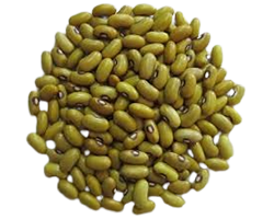 YELLOW BEANS