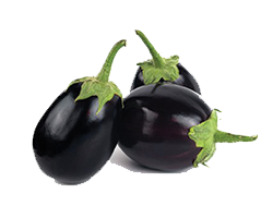 EGGPLANT