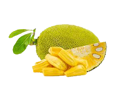 JACKFRUIT
