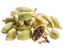 TRUE CARDAMOM
