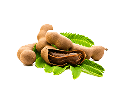 TAMARIND
