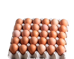EGG 30PCS