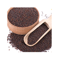 MUSTARD SEEDS 1KG