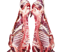 MEAT COW WITH BORN1KG