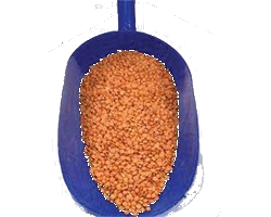 LENTILE 1KG